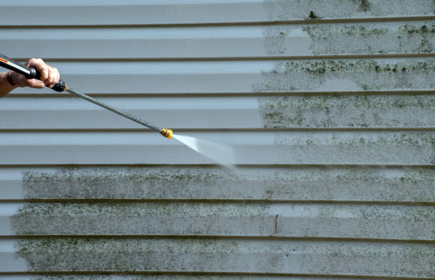 Best Affordable Pressure Washing  in Waynesboro, VA