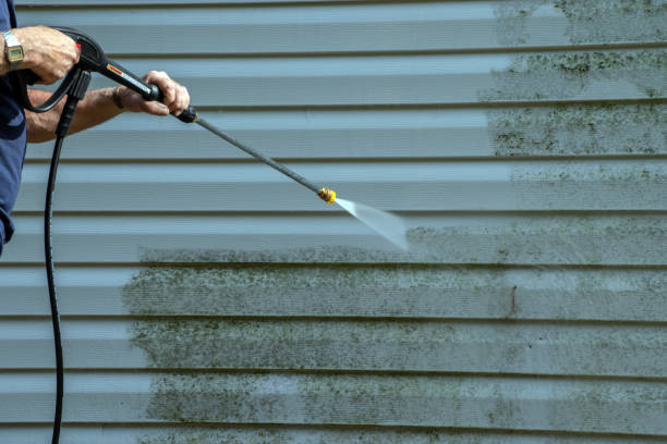 Professional Pressure Washing in Waynesboro, VA