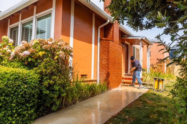 Best Local Pressure Washing Services  in Waynesboro, VA