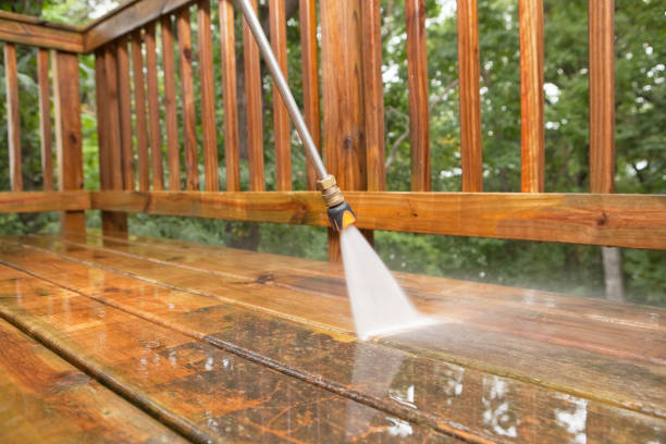 Best Roof Pressure Washing  in Waynesboro, VA