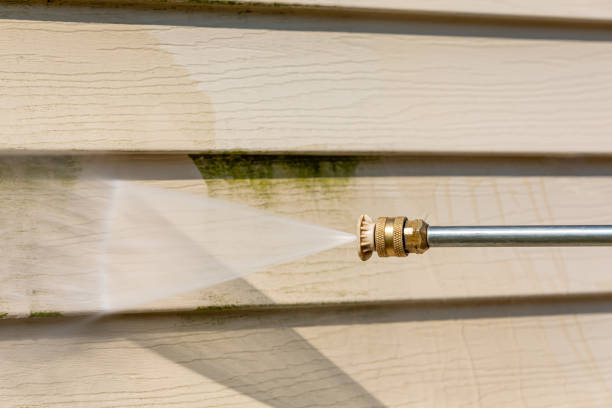 Best Pressure Washing Near Me  in Waynesboro, VA